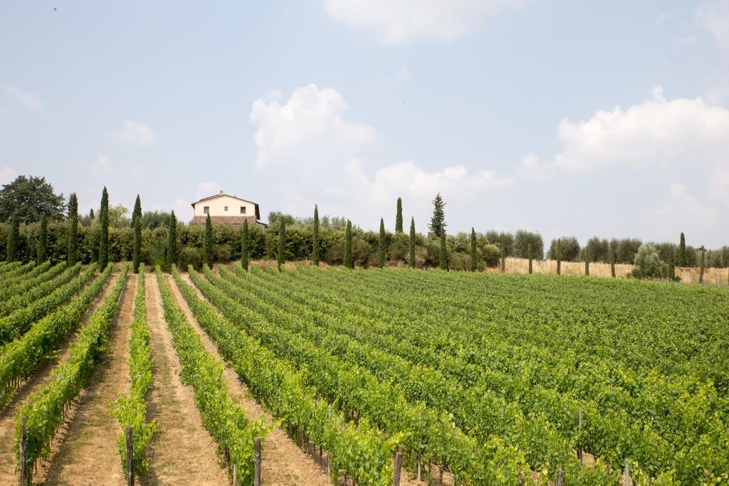 Le Buche Wine Resort&Spa Macciano Екстер'єр фото