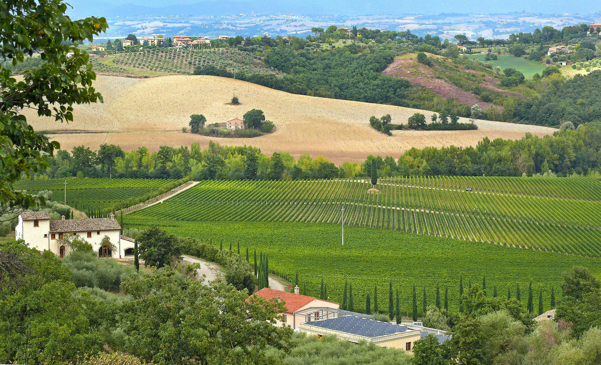 Le Buche Wine Resort&Spa Macciano Екстер'єр фото